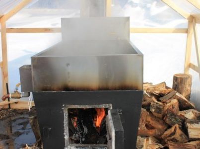 Maple Syrup Season is Here! Image